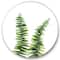 Designart - Fern Plant In Greenbotanical Detail - Tropical Metal Circle Wall Art